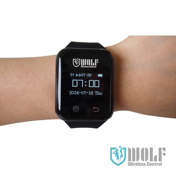 画像4: ワイヤレスコントロール【WOLF】送信機30台 レシーバー1台セット (4)