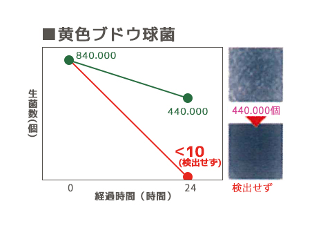 黄色ブドウ球菌