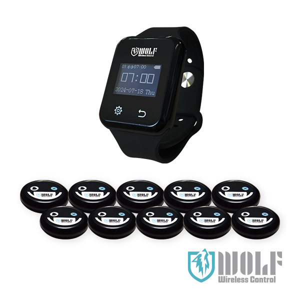 ワイヤレスコントロール【WOLF】送信機10台 レシーバー1台セット